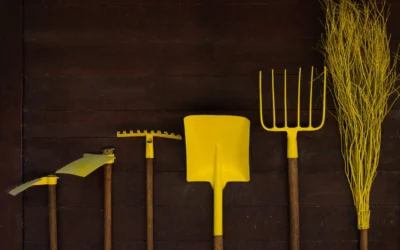 Organize Your Garage With These 8 Tips!